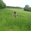 윤용하 농장 이미지