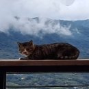 지리산골짝 이미지