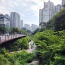 성복동 광교산 대원사