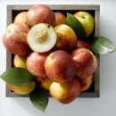 사과처럼 깎아먹는 수박, 천도와 백도를 합친 복숭아… 올여름엔 ‘인싸 과일’ 인기 이미지