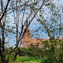 시립화서동어린이집 | 수원 일몰 명소 축만제 : 서호천 산책길 주차정보