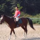 로시난테 이미지