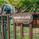 덕포스테이 | 거제마당넓은숙소 찾는다면? 거제독채펜션 추천 덕포해수욕장펜션 <리틀포레스트 2호점> 힐링 후기