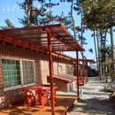 나리와꽃창포 | 태안해루질펜션 나리와꽃창포 태안갯벌체험펜션 물때 맞춰 맛조개 잡고 숙소까지!