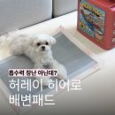 이가유기 | 강아지 배변패드 모서리 디테일까지 잡은 허레이 히어로패드 대형 같은 중형 후기