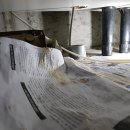 수원-0482 이미지