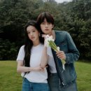 허튼소리 이미지