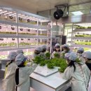 대야물누리체험관 이미지