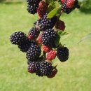 답십리우리한의원 이미지