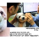 (집)쉼표매점 이미지