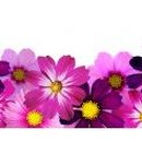 대구보청기 이미지