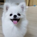 영민동물병원 이미지