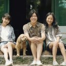 명등민박 스포츠경향