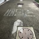 코오롱 야외음악당 | [대구 두류공원]*코오롱야외음악당*잔디광장에서 치맥하면서 밤피크닉/배달꿀팁,배달존위치,주차장...