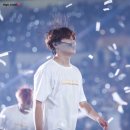 오늘도 댕댕 이미지