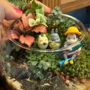 나만의세상 테라리움 만들기 이미지