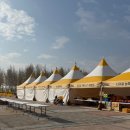 옐로카펫 | 고령 가볼만한곳:) 다산 은행나무숲 황금빛 옐로우카펫 산책후기