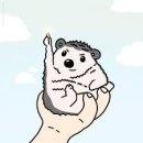 김밥천하 이미지