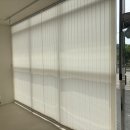 대선월드피아 이미지