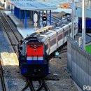 H1254 이미지