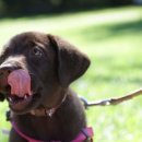 로얄동물병원 이미지