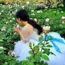 시청로1 이미지