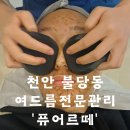 천안 불당동 여드름피부전문케어 해초필 후기 &#39;퓨어르떼&#39;