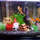 추억백화점 이미지