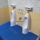 라온달미 이미지