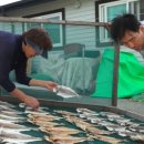 추도민박 이미지