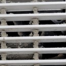 램프코리아 이미지