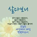 간월도노을펜션 이미지