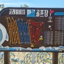 고래불레저