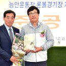 론볼경기장 이미지