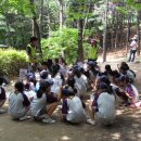 태랑초교 이미지