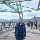도산이용소