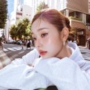 프리지아 이미지