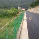 용현계곡입구 이미지