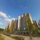 트리풀정문세탁소 이미지