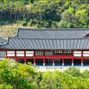 완도수목원산림박물관 네이버블로그