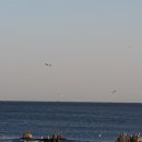 새들의천국 이미지