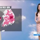 오늘의날씨