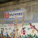 성진동물병원 Daum카페