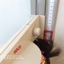 이호영소아청소년과의원 이미지