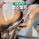 탈모야안녕 | 사당탈모 고민으로 탑스칼프 두피클리닉 만족 후기