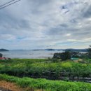 천미식당 이미지