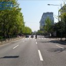 목동중앙로(동측) 이미지