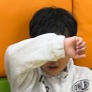 밝은 태권도 도장 이미지