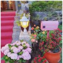 보리랑밥이랑 이미지