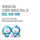 신지면-2 | [완도 여행] 경비 절반 돌려받는 완도 반값 여행 완벽 가이드 (신청 후기 &amp; 코스 추천)